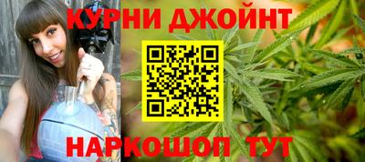прущие грибы Будённовск