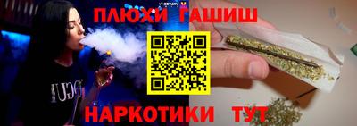 прущие грибы Будённовск