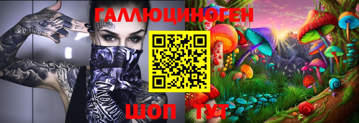 Волхов  Псилоцибиновые грибы прущие грибы  Вход с VPN 
