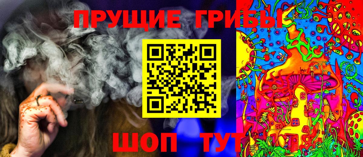Галлюциногенные грибы Cubensis Волхов